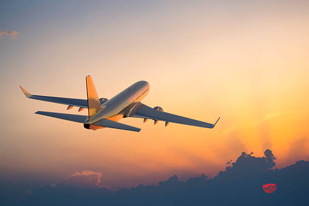 Flight Bookings